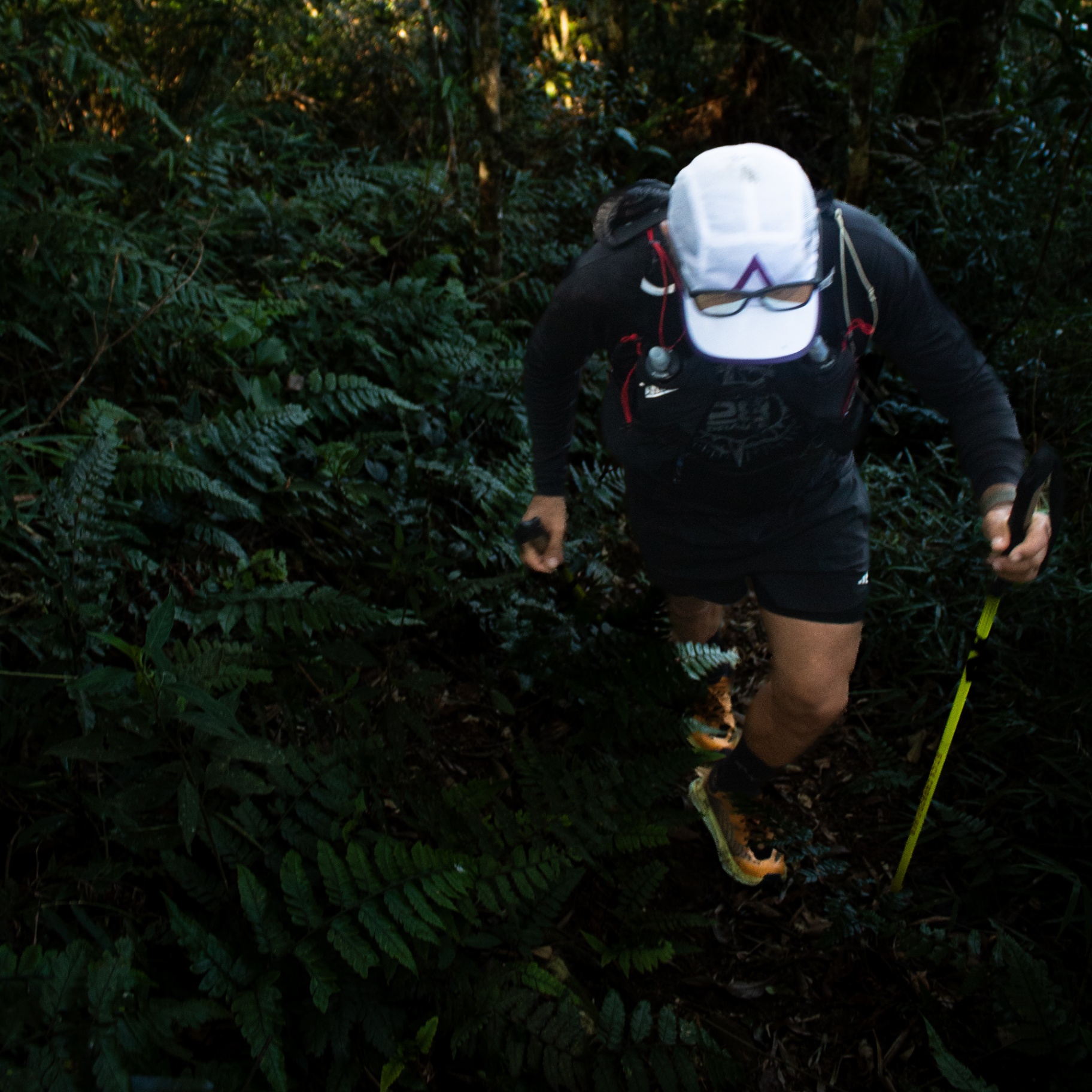 Trail runner subindo trilha na mata fechada